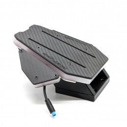 Cale-pied Fastride X Carbon Inside pour Dualtron - Édition LEDS