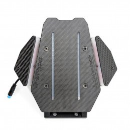 Cale-pied Fastride X Carbon Inside pour Dualtron - Édition LEDS