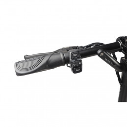 Trottinette électrique DUALTRON AMINIA