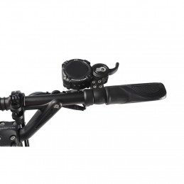 Trottinette électrique DUALTRON AMINIA