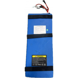 Batterie Dualtron Victor Luxury d’origine 24ah