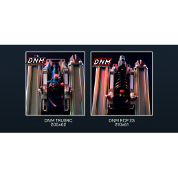 Gyroroue NOSFET APEX 50S