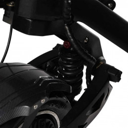 Trottinette électrique Teverun fighter SUPREME PLUS 72V60Ah