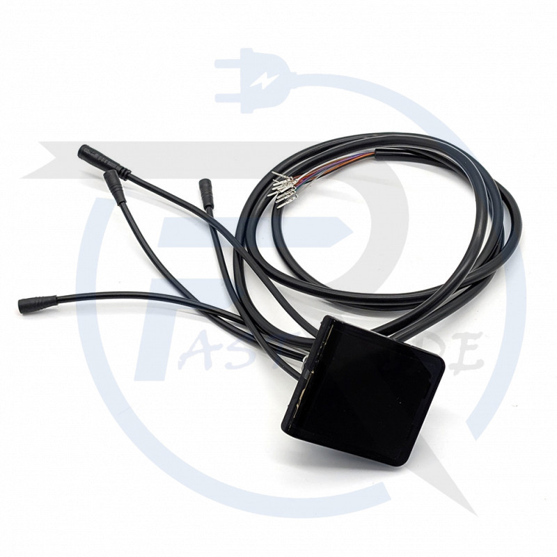 Display EY2 Dualtron TOGO