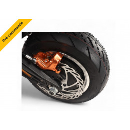 Trottinette Électrique DUALTRON SONIC ALIEN - MODEL A