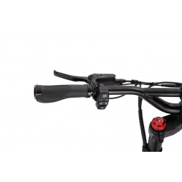Trottinette électrique KAABO WOLF KING GTR MAX