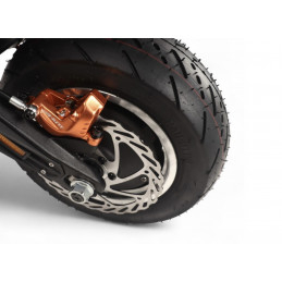 Trottinette Électrique DUALTRON SONIC ALIEN - MODEL A - Batterie Performance Samsung 50S + SMART BMS
