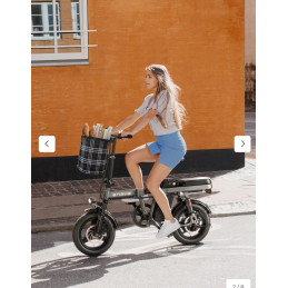 Vélo électrique pliant ENGWE T14