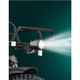 FAT BIKE électrique L20 BOOST