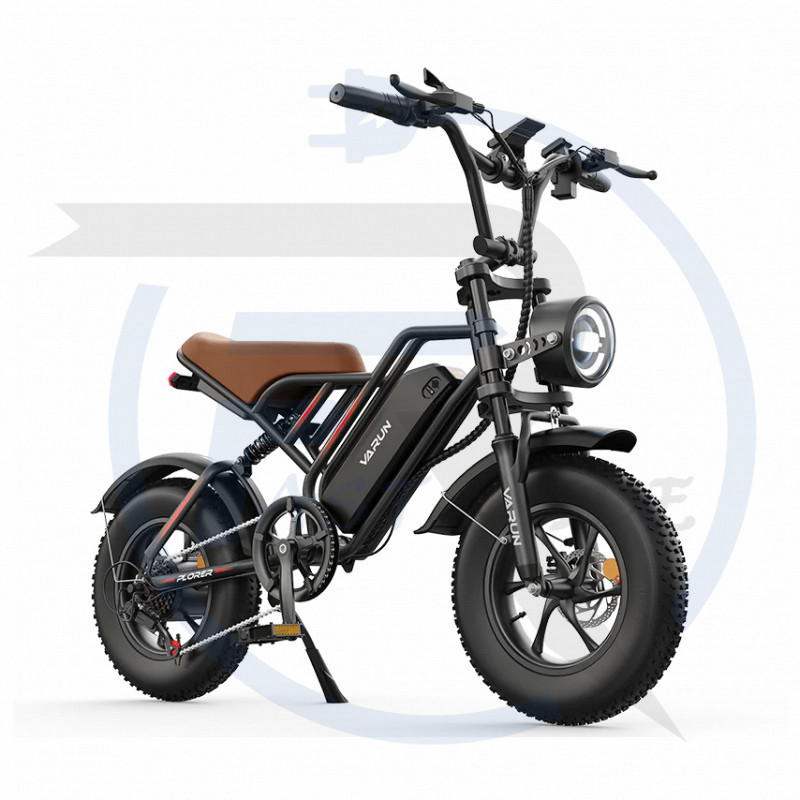 Mini Fatbike électrique Varun Plorer
