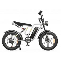 Fat Bike électrique Varun X-Plorer