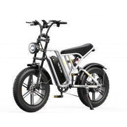 Fat Bike électrique Varun X-Plorer