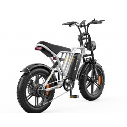 Fat Bike électrique Varun X-Plorer