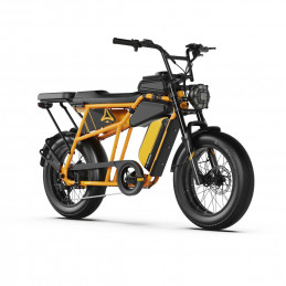 copy of Mini Fatbike...