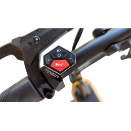 Trottinette électrique DUALTRON ORIENS 52V 30Ah