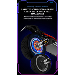 copy of Trottinette Électrique DUALTRON SONIC ALIEN - MODEL A