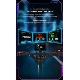 copy of Trottinette Électrique DUALTRON SONIC ALIEN - MODEL A