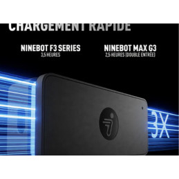 Chargeur rapide Segway NINEBOT 48V 3,9A - ZT3 - G3 - F3 - GT3