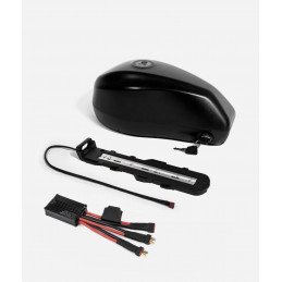 Batterie Additionnelle 48V...