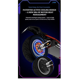 Moteur Dualtron Sonic Alien