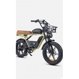 Kit de rangement Engwe M1