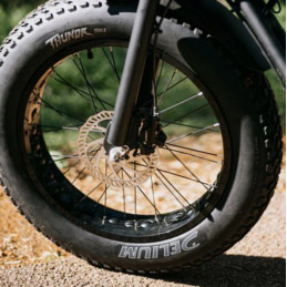Pneu DELIUM FATBIKE  20’’ x 4.00 THUNDR