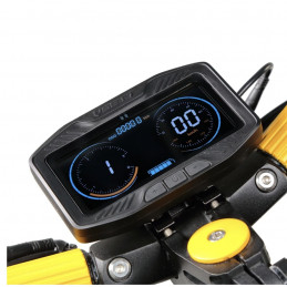 LCD Vsett APEX avec carte magnétique (sans gachette)